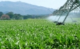 World Bank Investment in Kenya Climate-Smart Agriculture